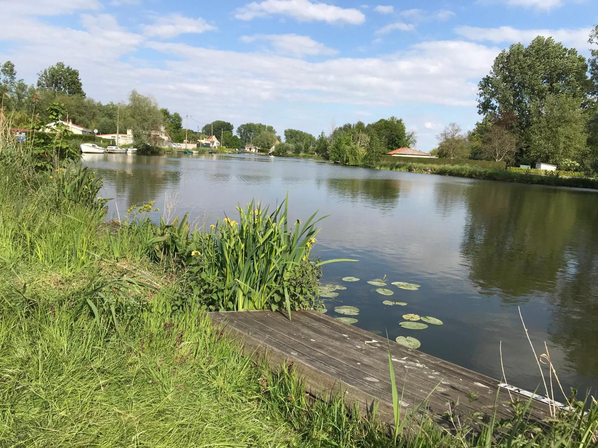 Appartement Avec Jardin 3 Couchages Proche Port Des Fontinettes Arques  Bagian luar foto
